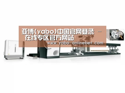 案例展示五