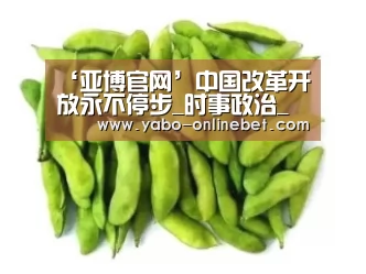 ‘亚博官网’中国改革开放永不停步_时事政治_中公教育网(图2) 亚博网站