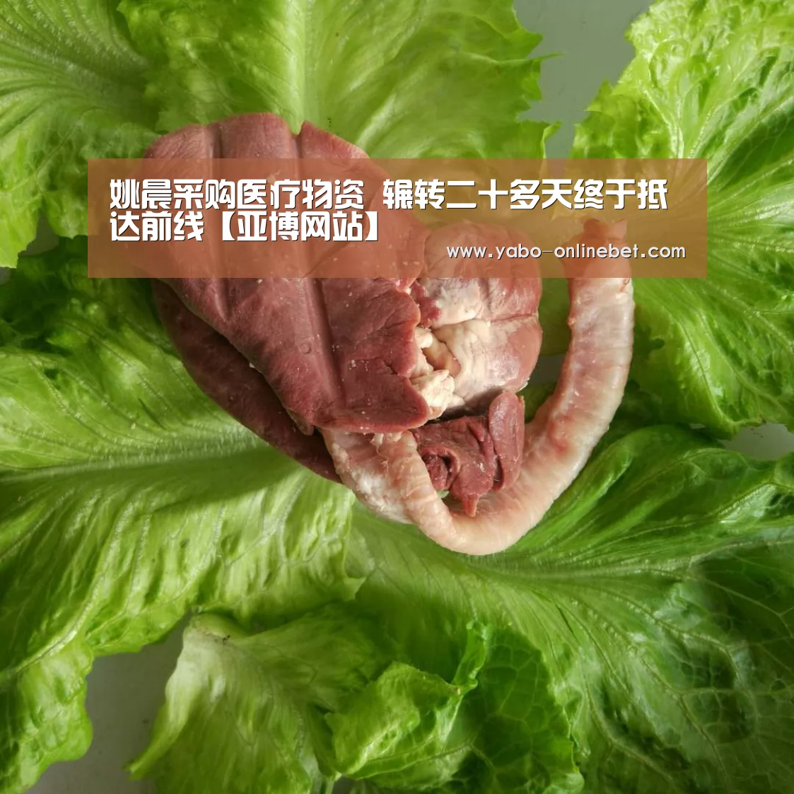 姚晨采购医疗物资 辗转二十多天终于抵达前线【亚博网站】(图1) 亚博官网