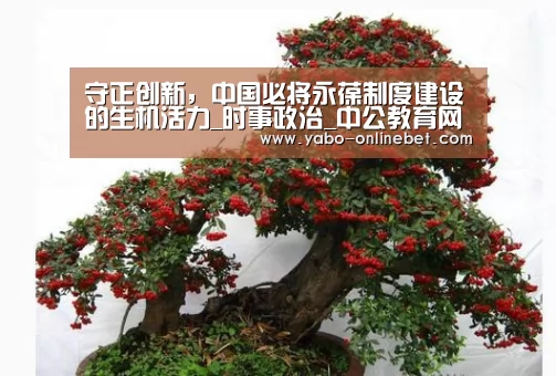 亚博网站