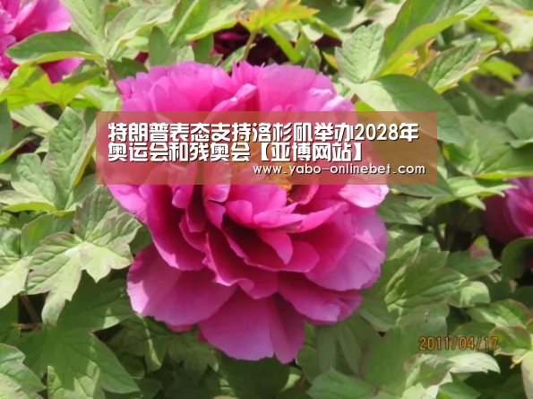 亚博网站