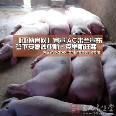 亚博网站