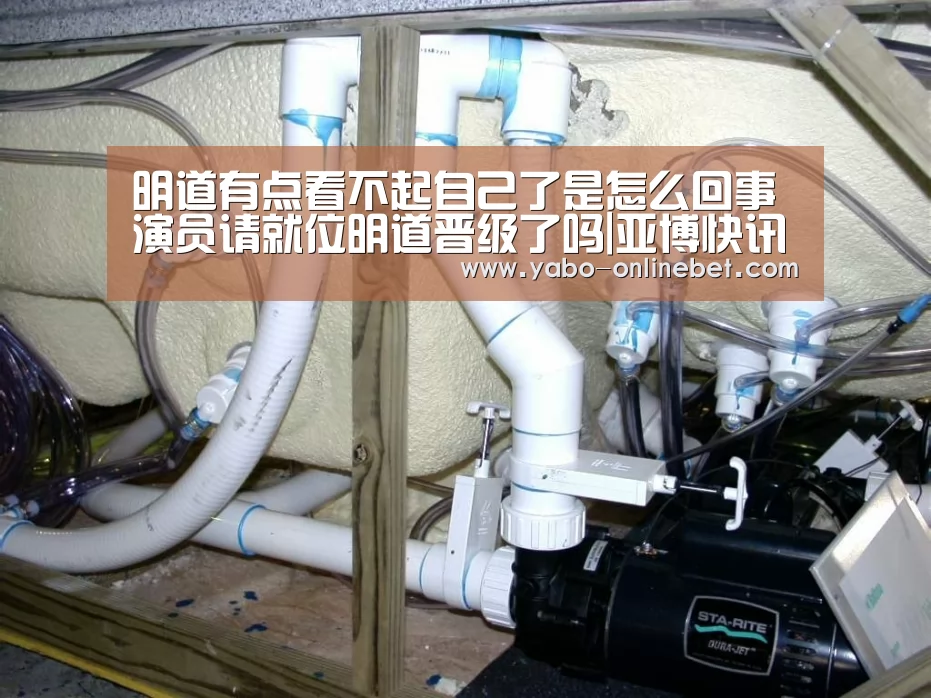 明道有点看不起自己了是怎么回事 演员请就位明道晋级了吗|亚博快讯(图1) 亚博聚合