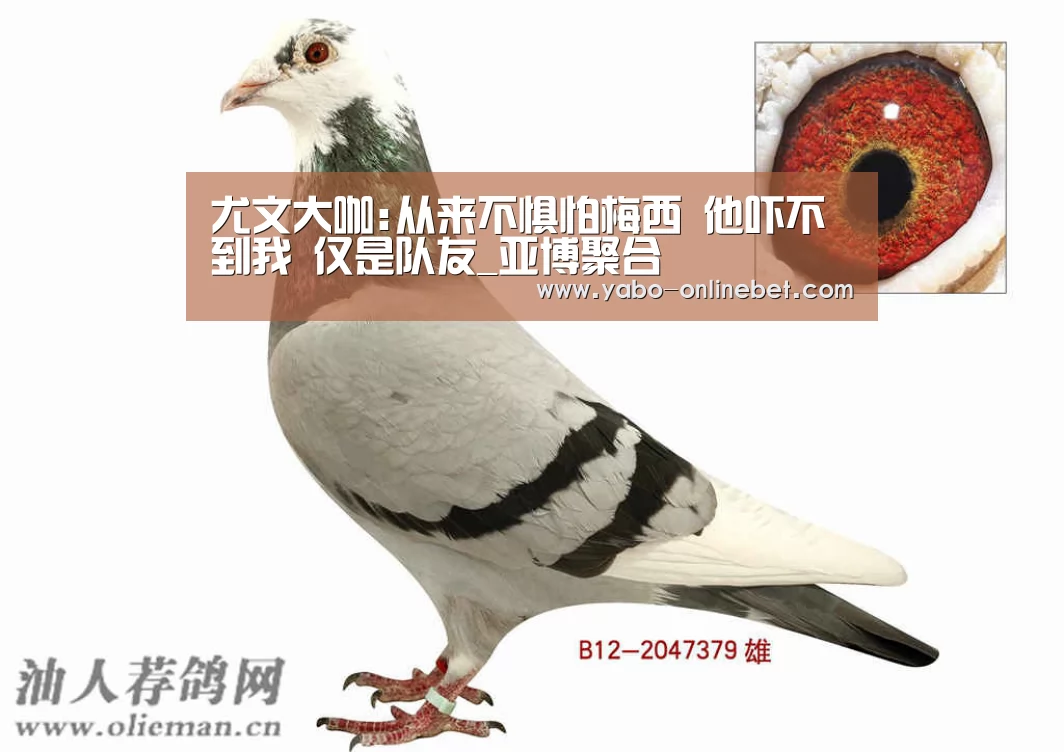 尤文大咖:从来不惧怕梅西 他吓不到我 仅是队友_亚博聚合(图1) 亚博官网