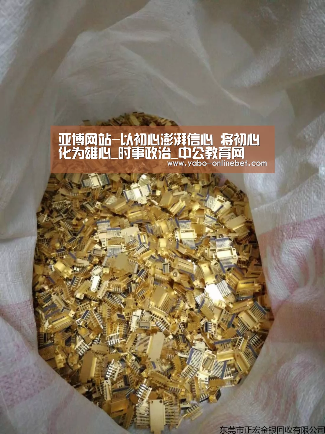 亚博网站-以初心澎湃信心 将初心化为雄心_时事政治_中公教育网(图1) 亚博官网
