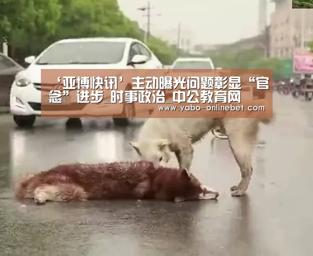 ‘亚博快讯’主动曝光问题彰显“官念”进步_时事政治_中公教育网(图1) 亚博官网