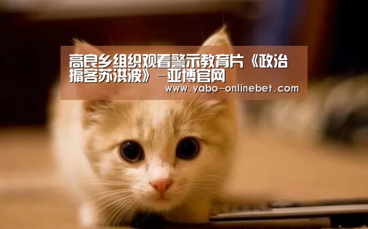 高良乡组织观看警示教育片《政治掮客苏洪波》-亚博官网(图1) 亚博快讯